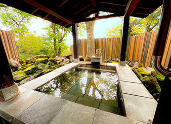 原生林の中の貸切露天風呂(無料)
