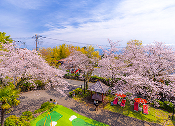 ガゼボ公園(春)