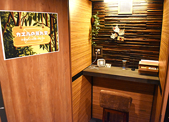 カエルの隠れ家