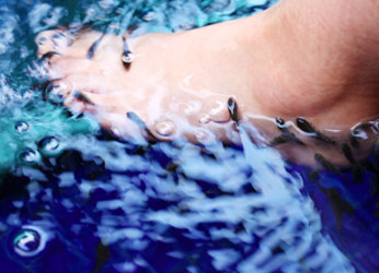 エステフィッシュ診療所(あし湯)