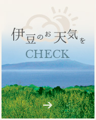 伊豆のお天気をCHECK