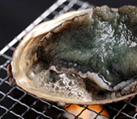 画像:あわび イメージ