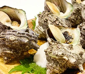画像:さざえ イメージ