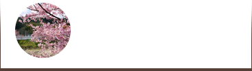 季節のイベント情報