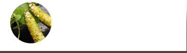 新鮮な地元食材で食体験