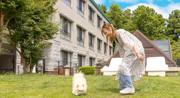 愛犬お宿 伊豆高原