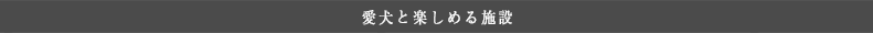 愛犬と楽しめる施設