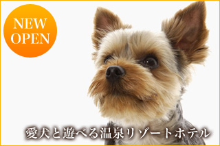 愛犬お宿 伊豆高原