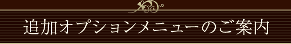 追加オプションメニューのご案内